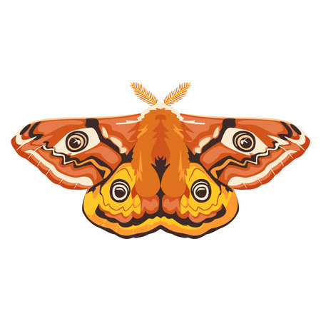 vector beautiful emperor moth cartoon illustration isolatedのイラスト素材
