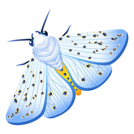 Vector Cartoon White Butterfly Character isolated illustrationのイラスト素材