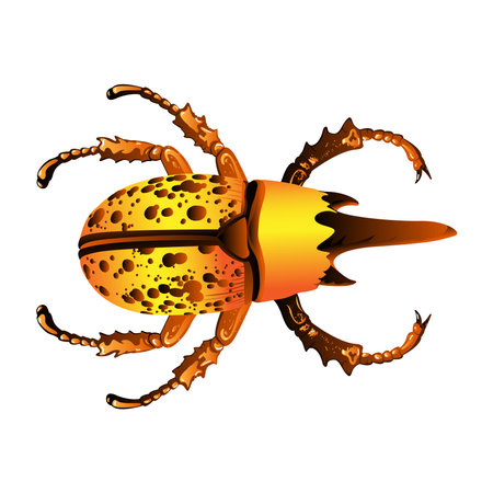 Vector Cartoon Atlas beetle Character isolated illustrationのイラスト素材