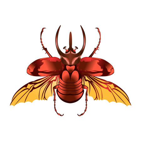 Vector Cartoon Atlas beetle Character isolated illustrationのイラスト素材
