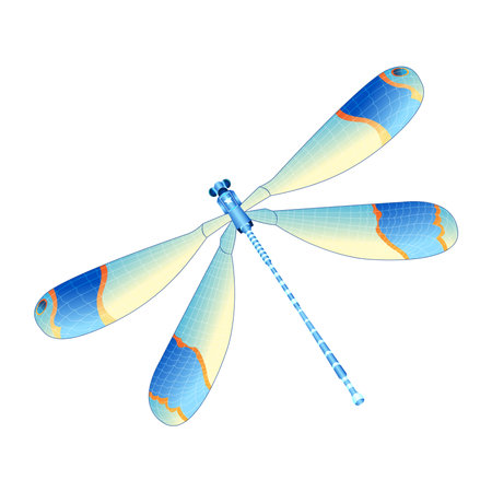 Vector Cartoon DrangonFly Character isolated illustrationのイラスト素材
