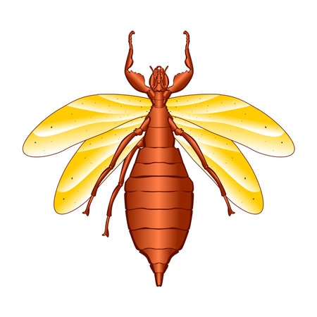 Vector Cartoon Leaf insect Character isolated illustrationのイラスト素材