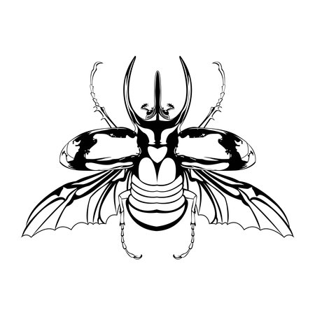 Vector Cartoon Atlas beetle Character isolated illustrationのイラスト素材