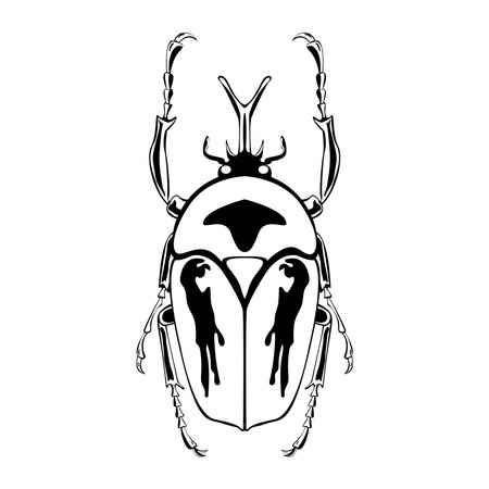 Vector Cartoon Flower beetle Character isolated illustrationのイラスト素材