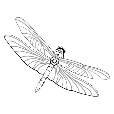 Vector Cartoon DrangonFly Character isolated illustrationのイラスト素材