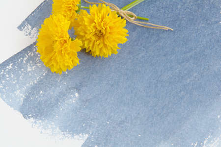 A bunch of yellow Coreopsis flowers on a sheet of watercolor paper with an indigo-colored watercolor stain.の写真素材