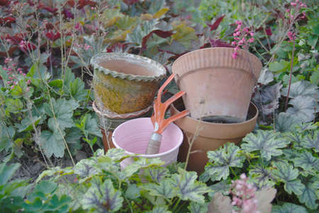 A group of old ceramic and tin flower pots and a soil loosening tool among garden plants.の写真素材