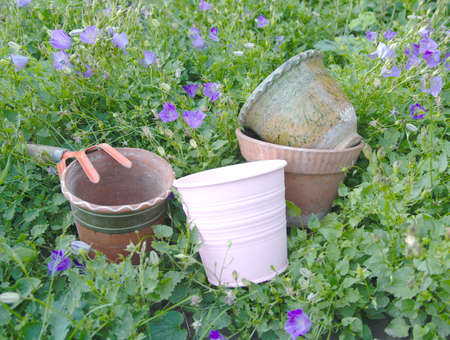 A group of old ceramic and tin flower pots and a soil loosening tool among garden plants.の写真素材