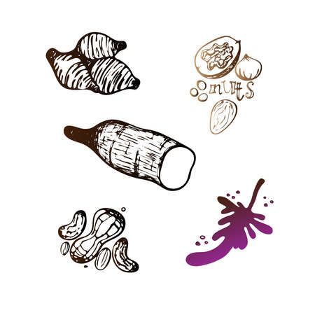 Vector Illustration of a set of gluten free products in vintage style.の写真素材