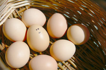 Self Made Hand Drawn - Group of emotional eggs in a basket .の写真素材