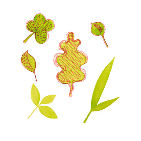 Set of green leaves doodles for design, pattern creation.