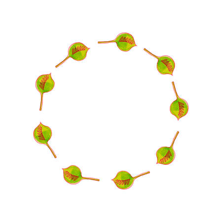 Wreath, round frame of green leaves for design, greeting cards, creating patterns and logos.の写真素材