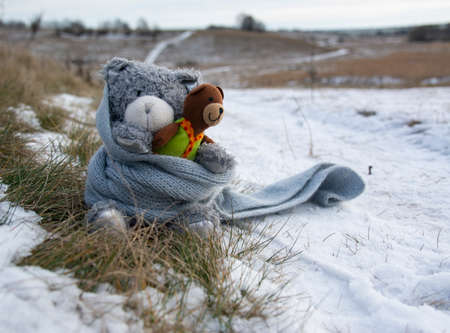 Teddy bears sit together in the snow in winter wrapped in a scarf. Friendship demonstration.の写真素材