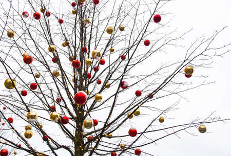 New Year and Christmas decoration of the central squares of Moscow. Travel to winter Moscow.の写真素材