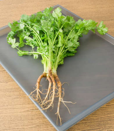 Vegetable and Herb, Bunch of Parsley, Chinese Parsley or Coriander for Seasoning in Cooking on A Tray.の写真素材