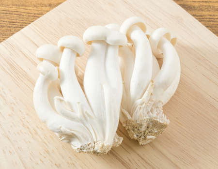 Vegetable, Raw White Shimeji Mushroom or Bunapi Mushroom on Wooden Board.の写真素材