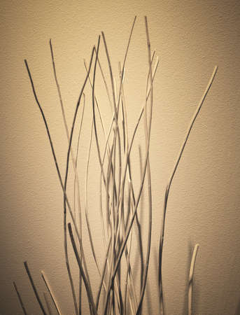 Abstract Brown Dried Twig in A Dark, for Home and Building Decoration.