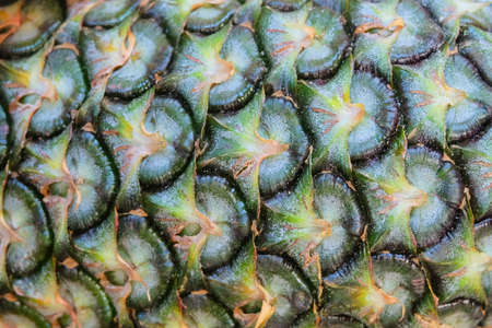 Background of Delicious Fresh Yellow Pineapple, One of A Famous Tropical Fruit in The World.