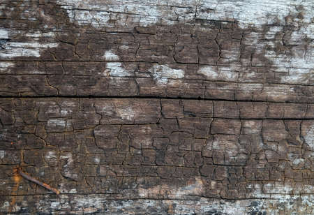 Background Pattern, Horizontal Brown Wooden Grain with Old Rusty Nail. Copy Space for Text Decorated.の写真素材
