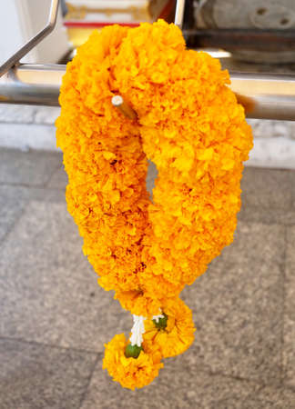 Beautiful Yellow Marigold Wreath or Garland, The Garland in Thai Tradition Style Used to Pay Respect to The Buddha.の写真素材