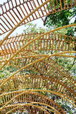 Bamboo Arch Over The Path or Walkway in A Garden Park for Walking Along.の写真素材