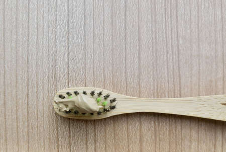 Wooden Bamboo Toothbrushes with Herbal Toothpaste. An Oral Hygiene Instrument Used to Clean The Teeth, Gums and Tongue.の写真素材