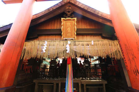 red respectのeditorial素材