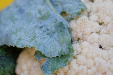 Cauliflower with green leaves close-up macro photography, selective focusの写真素材