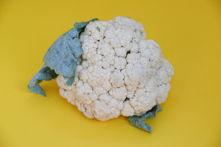 Cauliflower on a yellow background. Cauliflower with leaves.の写真素材