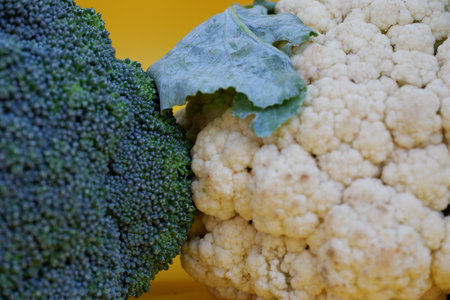 broccoli and cauliflower on a yellow background, close-upの写真素材