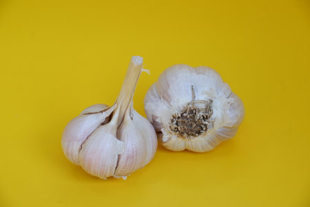 Garlic isolated on yellow background. Garlic bulb on yellow background.の写真素材