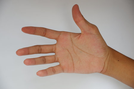 The hand of a child on a white background shows five fingers.の写真素材