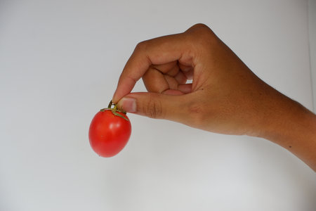 Tomato in hand isolated on white background. Selective focus.の写真素材