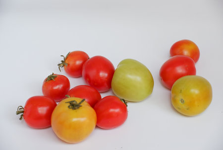 tomatoes on a white background, tomatoes on a white background.の写真素材