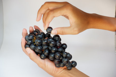 Woman hand holding bunch of black grapes on white background. Close up.の写真素材