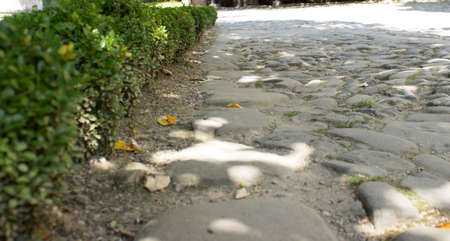 stone pathの写真素材