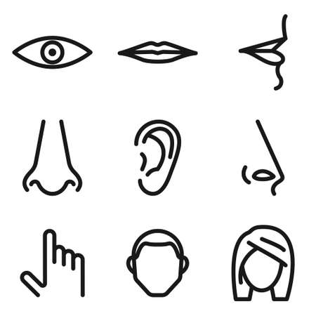 Human senses and male female face iconのイラスト素材