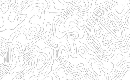 Lines curve topographic top view map backgroundのイラスト素材