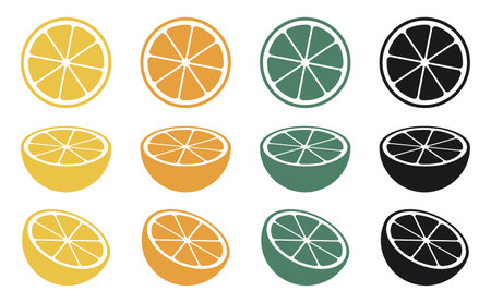 Lemon slice, orange slice, sweet lime slice and vector icon of citrusのイラスト素材