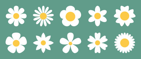 Daisy chamomile flower petals setのイラスト素材