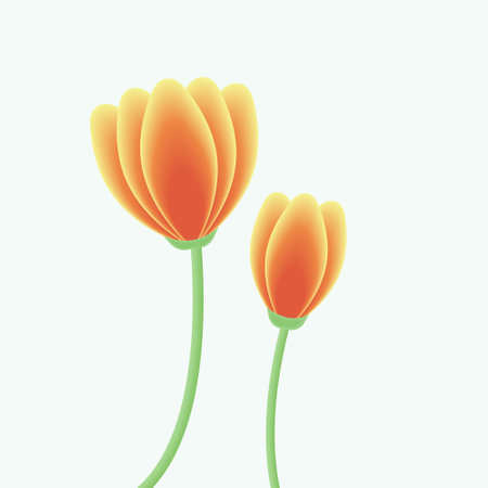 Tulip flower spring plant floral boutiqueのイラスト素材