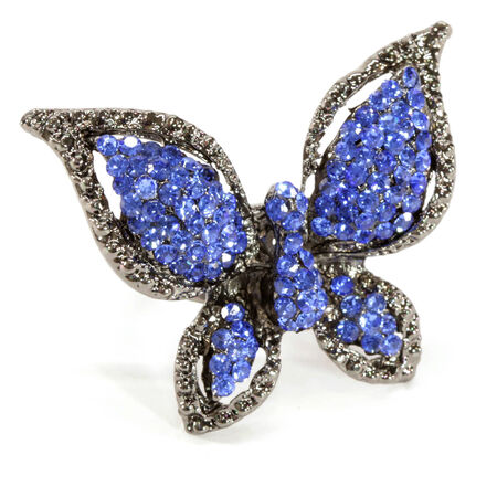 Crystal Butterfly Ringの写真素材