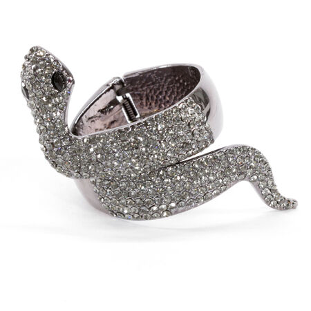 Smoke Crystal Snake Bangleの写真素材