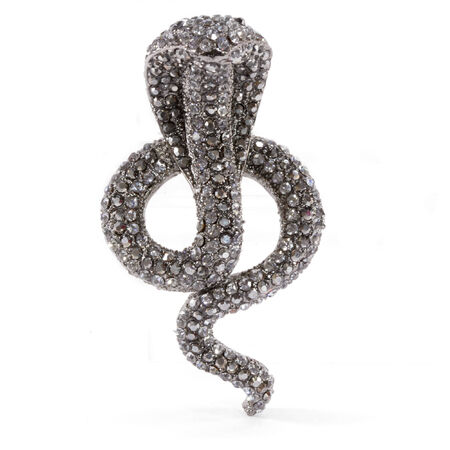 Smokey Crystal Snake Broochの写真素材