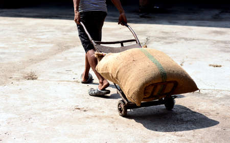 worker labor carry hemp sack fully of rice by cart to produceの写真素材