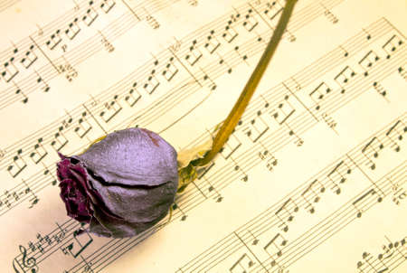 Faded rose on music sheetの写真素材