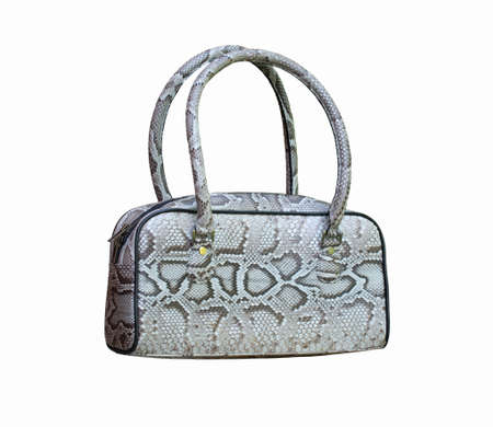 Ladyâs handbag made of piton isolated on whiteの写真素材