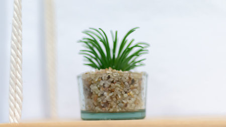 Decorative plastic grass in a plastic transparent pot isolated on white backgroundの写真素材