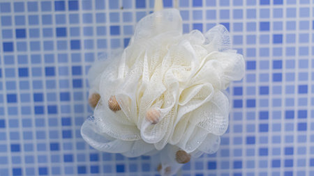 White sponge for shower or bathの写真素材