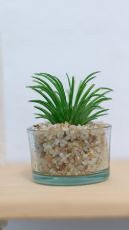 Decorative plastic grass in a plastic transparent pot isolated on white backgroundの写真素材
